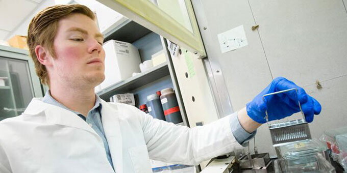 Student working in a lab